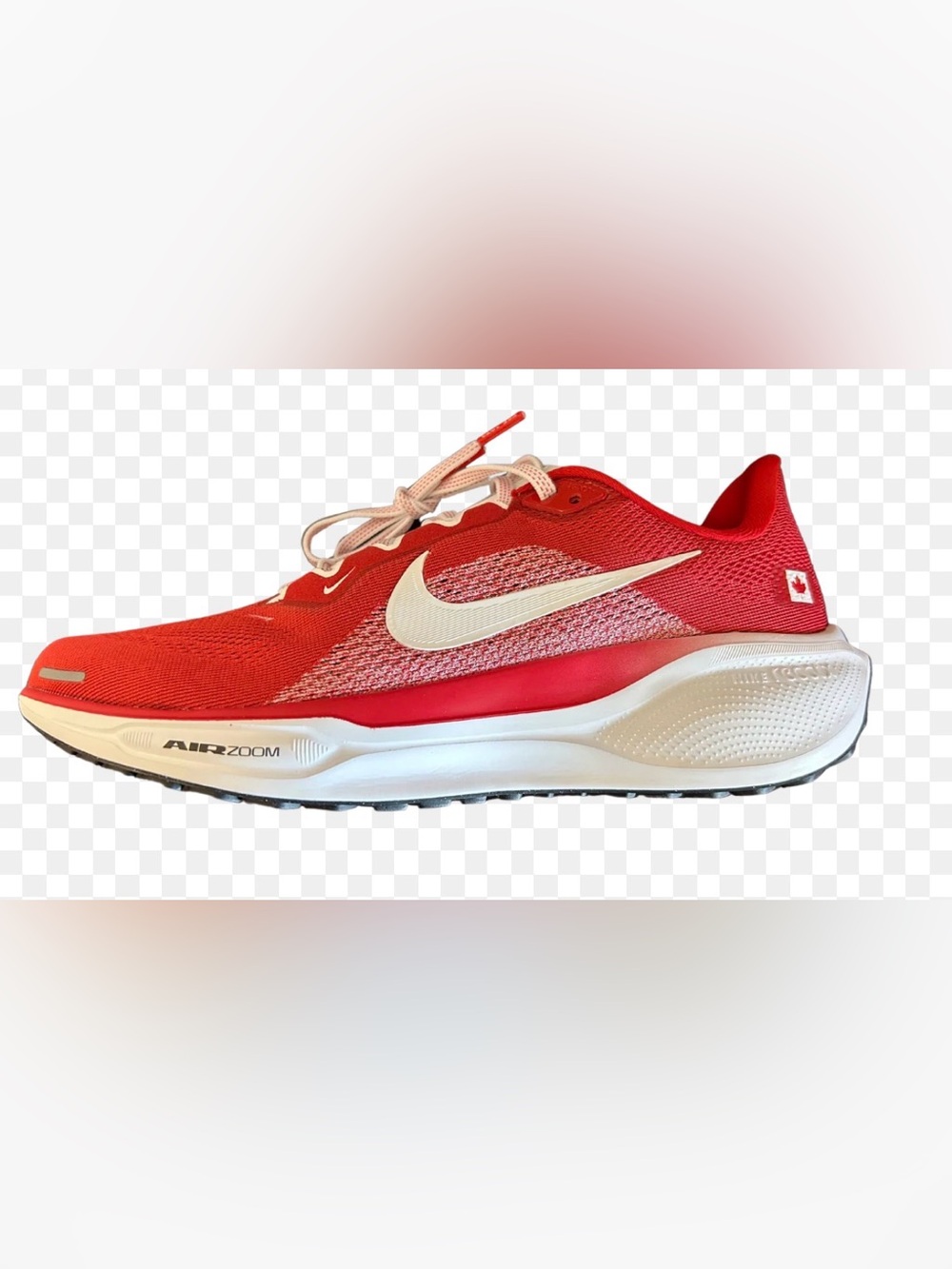 EUC Nike Canada Air Zoom Pegasus